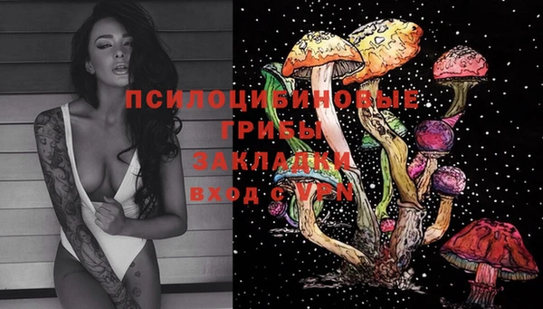 спиды Липки