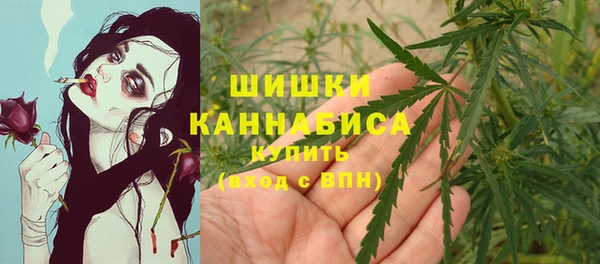 тгк Магадан