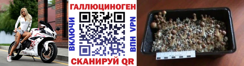 Псилоцибиновые грибы мухоморы  Сысерть 