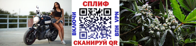 Бошки Шишки ГИДРОПОН  Сысерть 